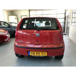 Fiat Punto 1.2 Active 5DRS|Airco|Stuurbekr|EL-RMN