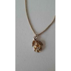 leuke goudkleurige ketting incl rozenhanger