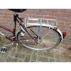 dames fiets giant