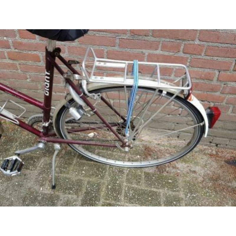 dames fiets giant