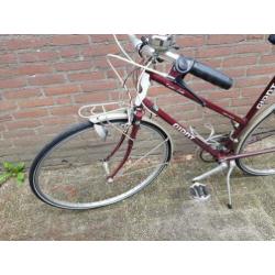 dames fiets giant