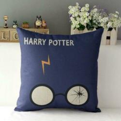 Harry Potter kussen kussenhoes bril bliksem blauw dvd bluray