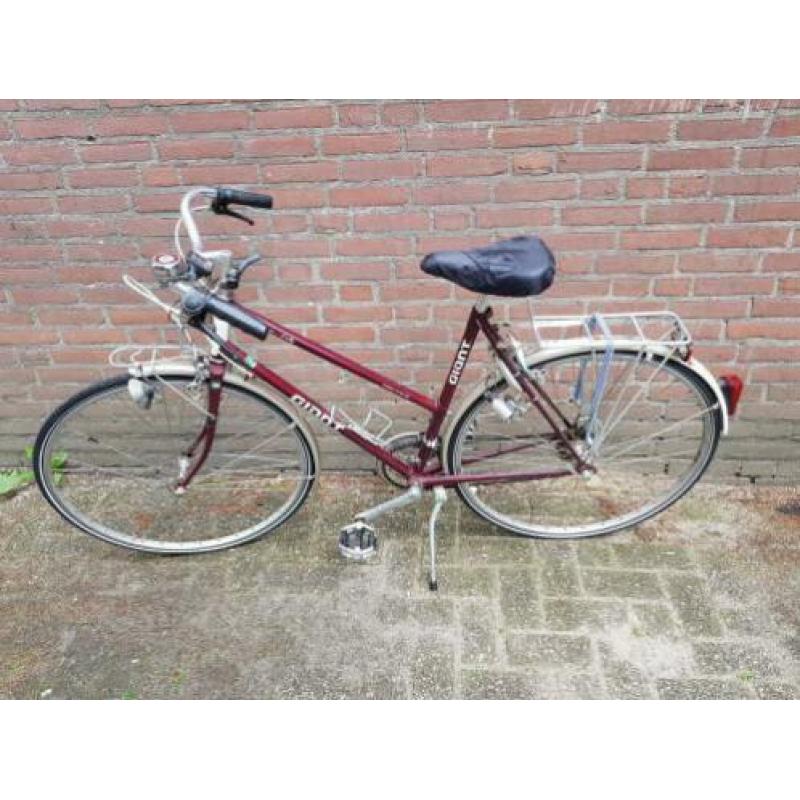 dames fiets giant