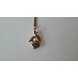 leuke goudkleurige ketting incl rozenhanger