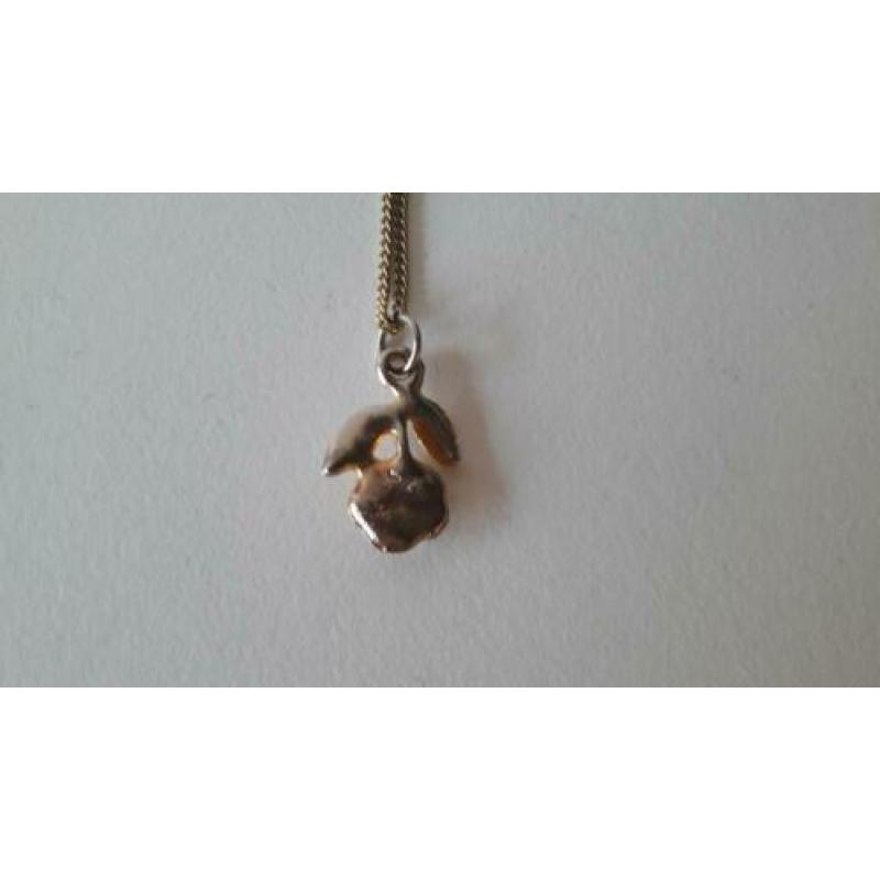 leuke goudkleurige ketting incl rozenhanger