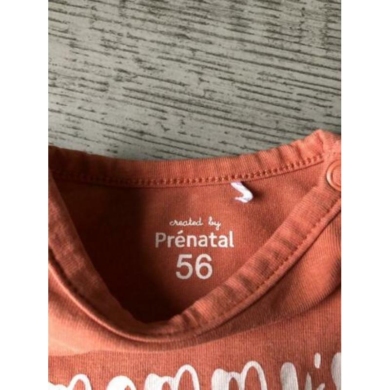 Leuk setje maat 56 Prenatal/Noppies