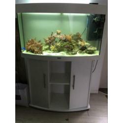 Zeeaquarium incl. Levende have compleet draaiend met tunze