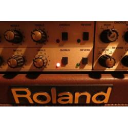 Roland AC 100 akoestische versterker ,Acoustic Amp ,ruil kan