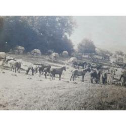 colonne Duitse paard en wagens wo1 ww1