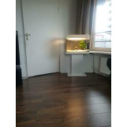 Wit Juwel Aquarium 60 liter met standaard