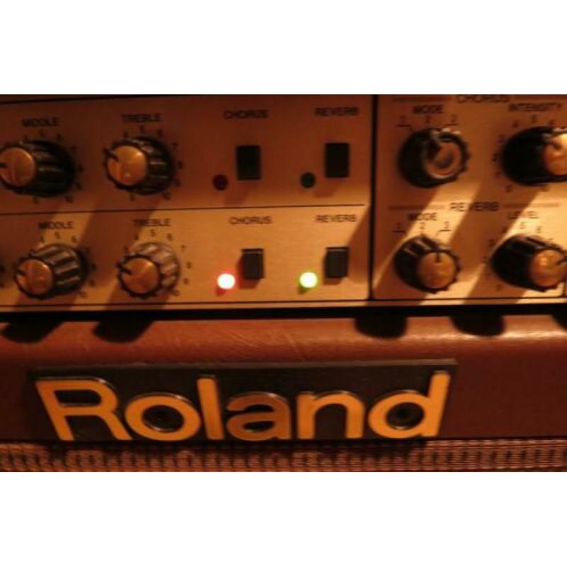 Roland AC 100 akoestische versterker ,Acoustic Amp ,ruil kan