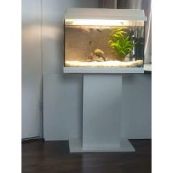 Wit Juwel Aquarium 60 liter met standaard