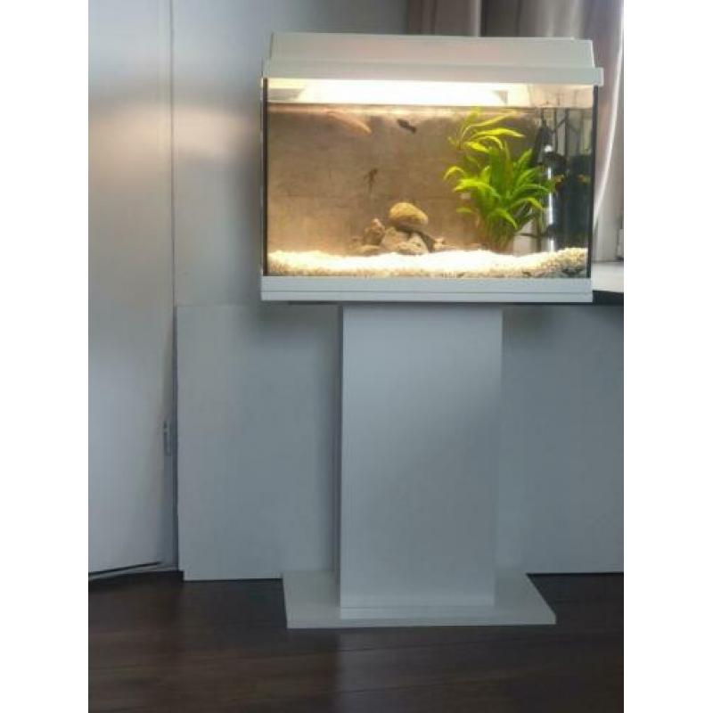 Wit Juwel Aquarium 60 liter met standaard