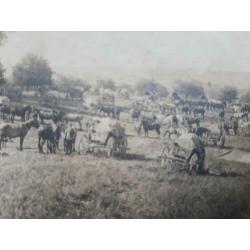 colonne Duitse paard en wagens wo1 ww1