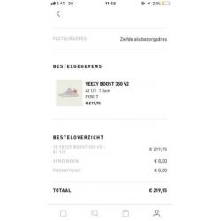 Yeezy Boost 350 Tail Light Maat 43 1/3