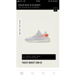 Yeezy Boost 350 Tail Light Maat 43 1/3