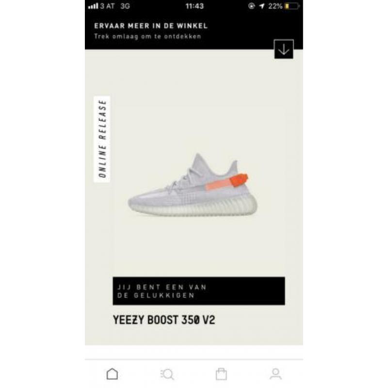 Yeezy Boost 350 Tail Light Maat 43 1/3