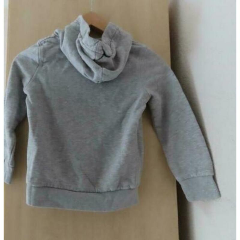 Palomino grijze hoody New York 85 maat 116