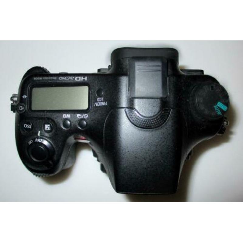 Sony A77